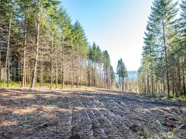 0 Bunker Hill Road #A, Longview, WA 98632