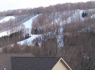 6843 Springs Rd, Ellicottville, NY 14731