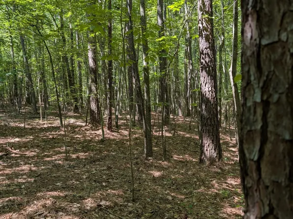 TRACT B2 Thelma Rd Lot B2, Roanoke Rapids, NC 27870