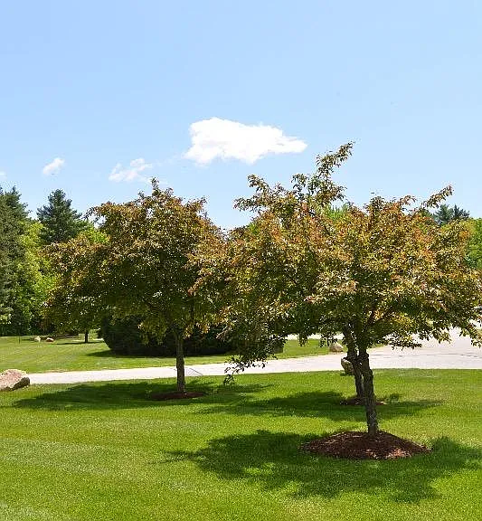 Oak Creek - A Beautiful Place to Live — Photo 36