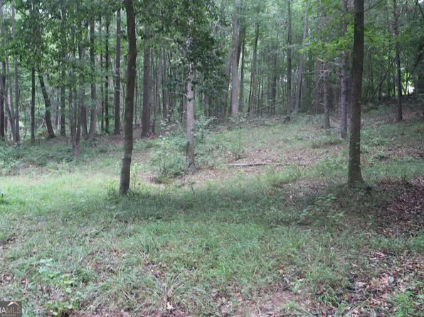 330 Mountain View Rd, Lavonia, GA 30553