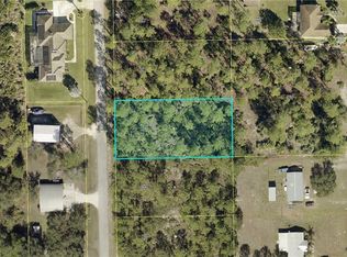 2308 Roosevelt Ave, Alva, FL 33920