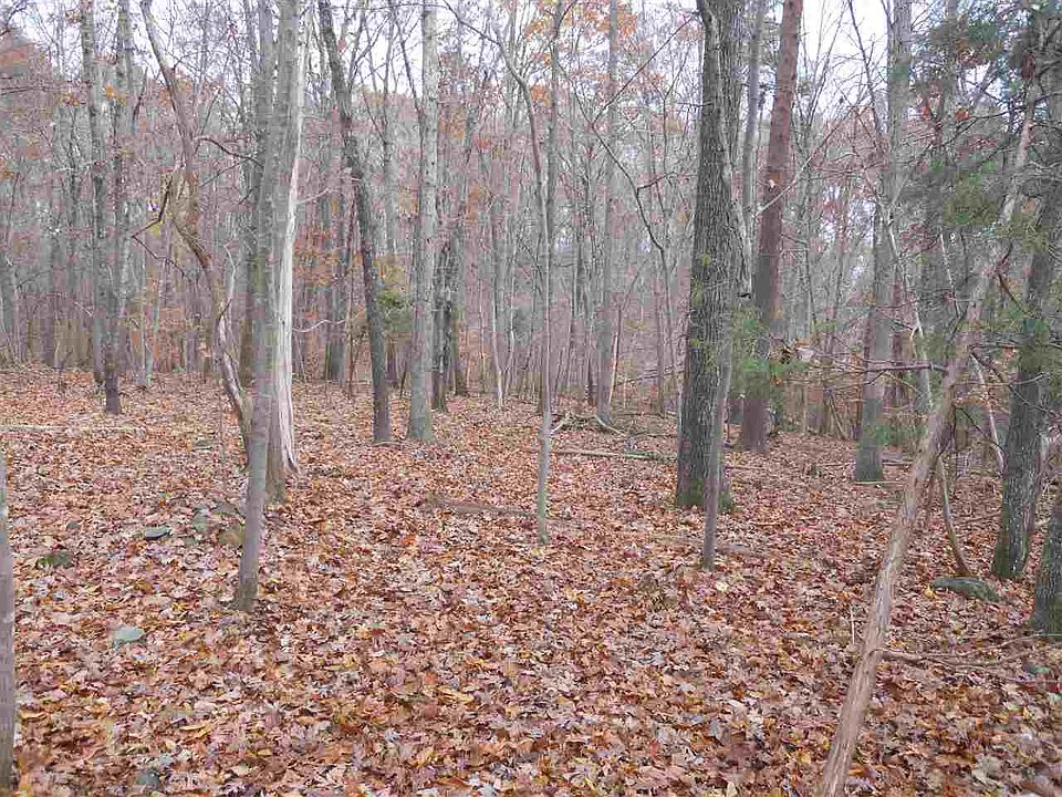 2nd image of LOT 2 Montford Rd Lot 2