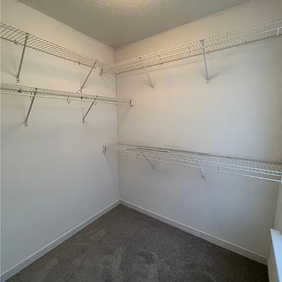 7806 Fern Hollow Dr — Photo 20