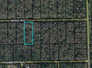 3681 Apple Ave #10, Bunnell, FL 32110