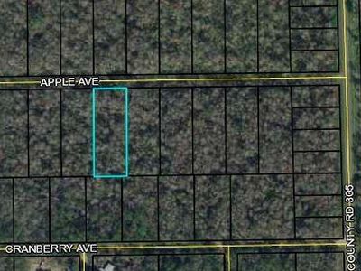 3681 Apple Ave #10, Bunnell, FL, 32110