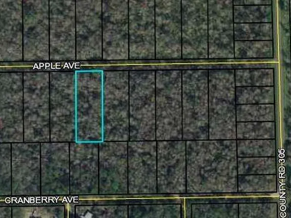 3681 Apple Ave #10, Bunnell, FL 32110