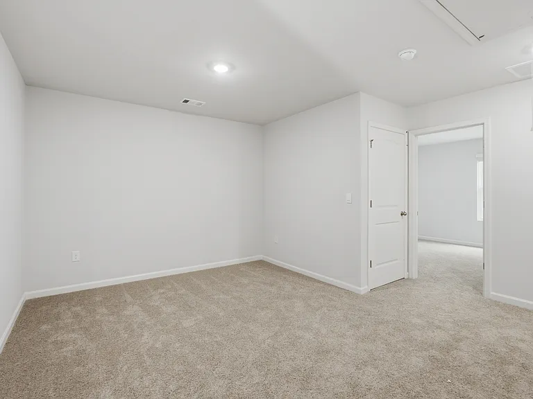 Flex Space / Bonus Room