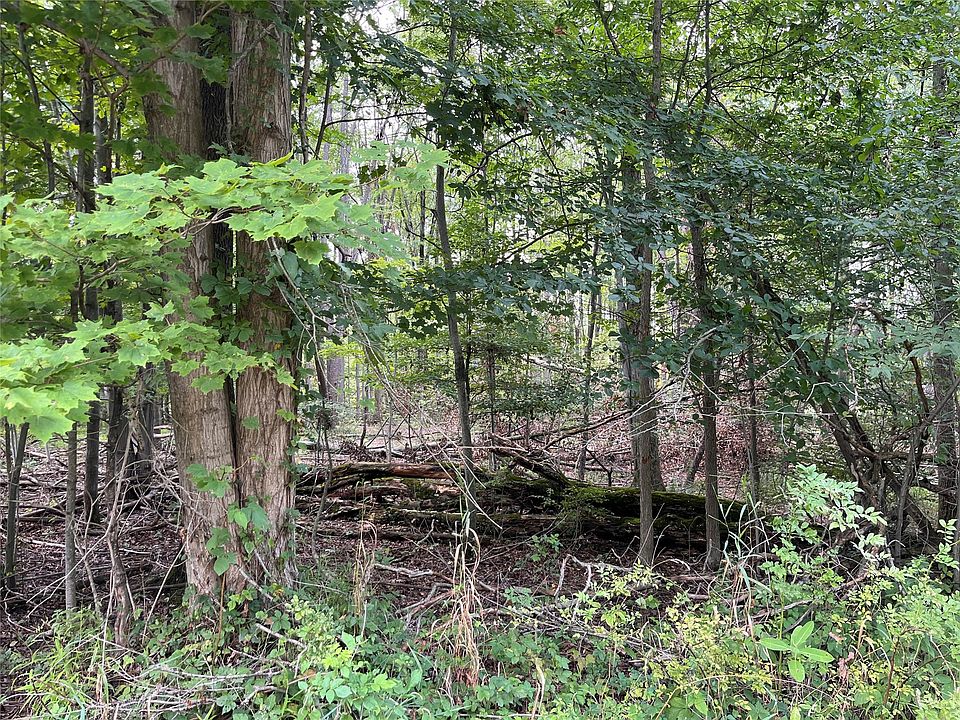 1st image of 0 Reeds Rd