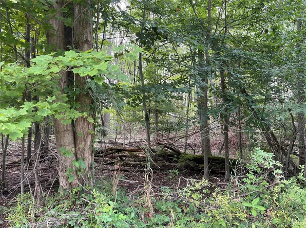 0 Reeds Rd, Conneautville, PA 16406