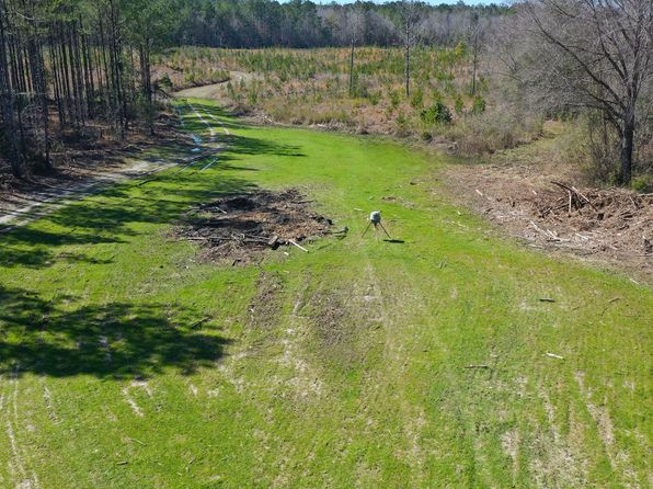Hank Williams Rd, Mc Kenzie, AL 36456