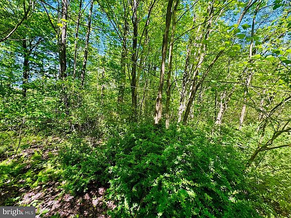 2nd image of LOT 43 Paradise Rd