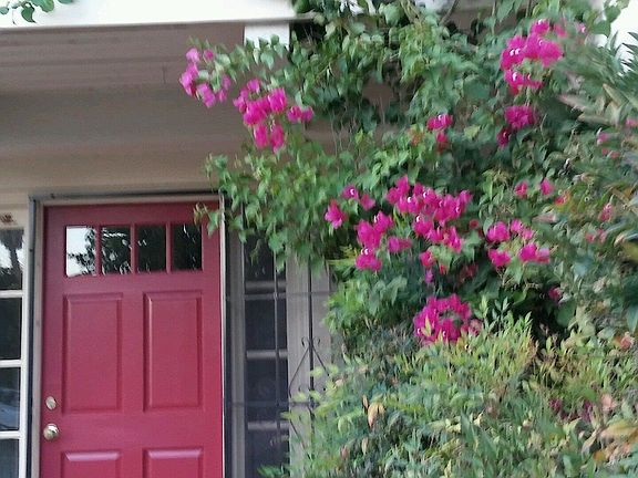 2nd image of 10129 La Alegria Dr