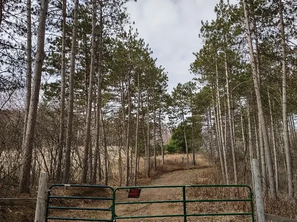 Haldeman Dr, Black River Falls, WI 54615