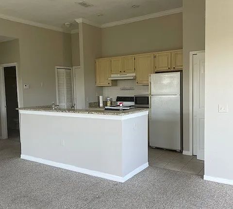 5th image of 1125 Lake Shadow Cir APT 5101