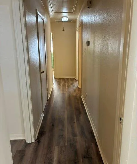 1805 Thelma Ln — Photo 24
