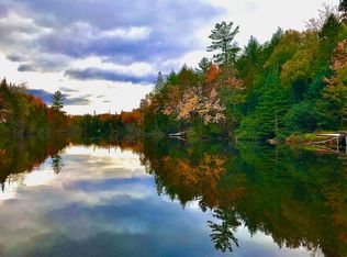 36206 W South River Rd, Paradise, MI 49768