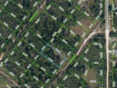 206 Dewolf Ave, Lake Placid, FL, 33852