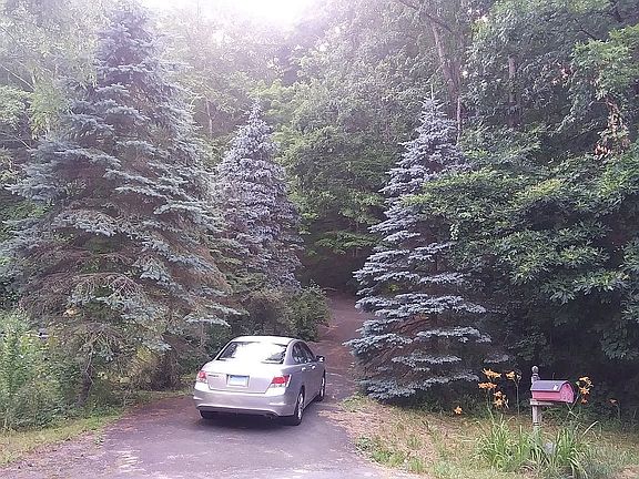 Driveway Street Entry