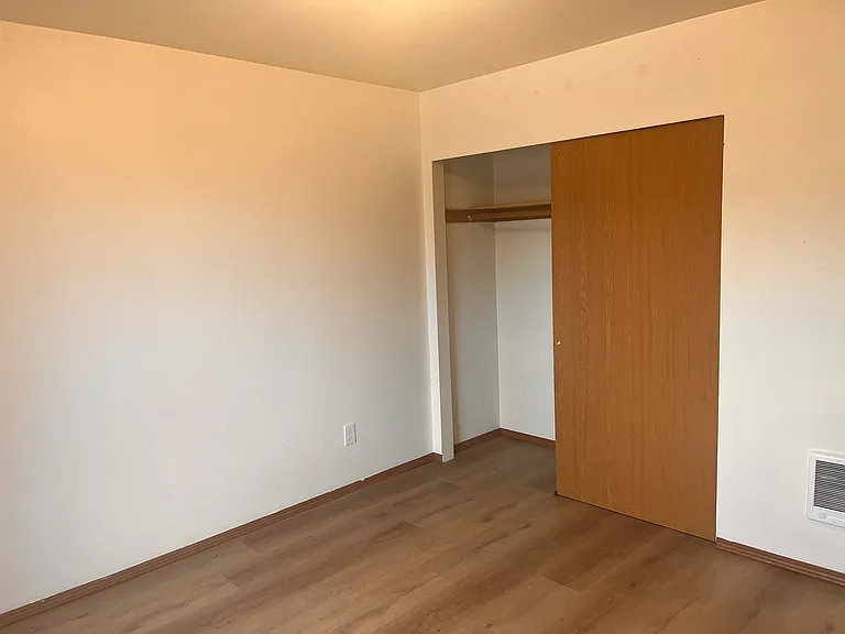 Downstairs bedroom closet