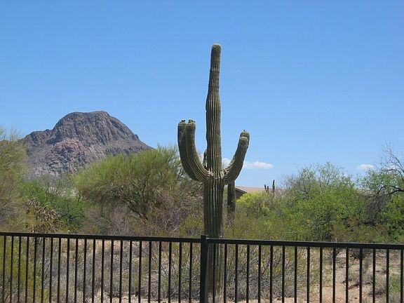 Breathtaking views from the back yard...