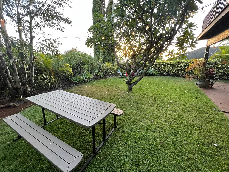 backyard with picnic table and lights
