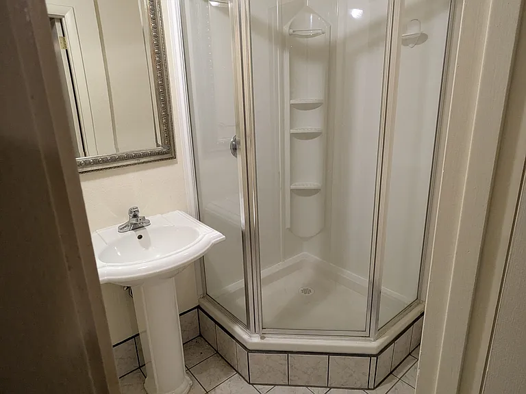 Downstairs bathroom shower