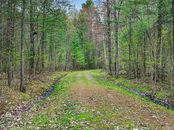 V/l E Pinecrest Dr, Gladwin, MI 48624