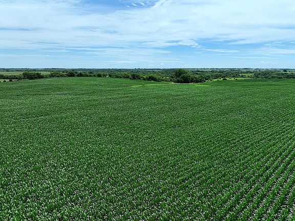 DJI_0548