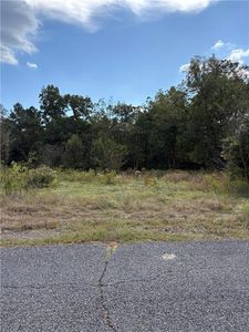 1344 Highway 1194 #13, Marksville, LA, 71351