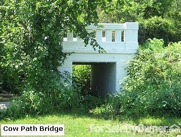 Cow Path Bridge