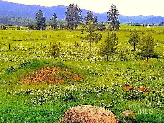 2nd image of 1217 Elo Rd