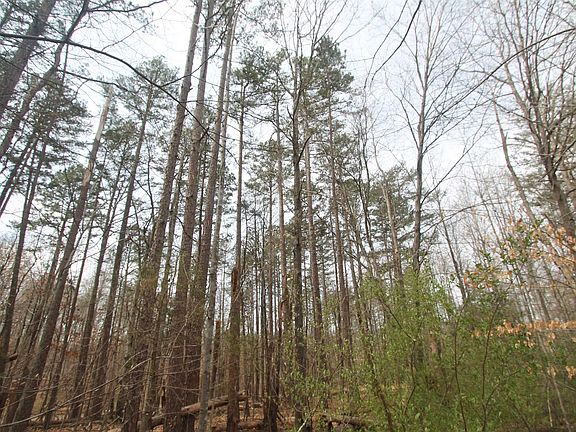 5th image of Sulphur Mine Rd