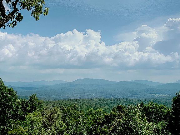 from the back porch and deck