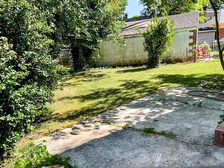 Backyard photo
