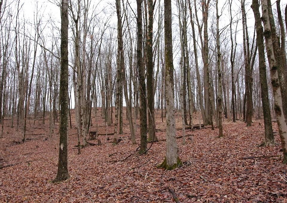 1st image of 0 State Route 681 N