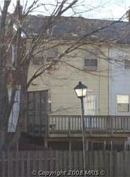 Back View