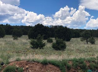 5 Mira Sol Rd #A, Las Vegas, NM 87701