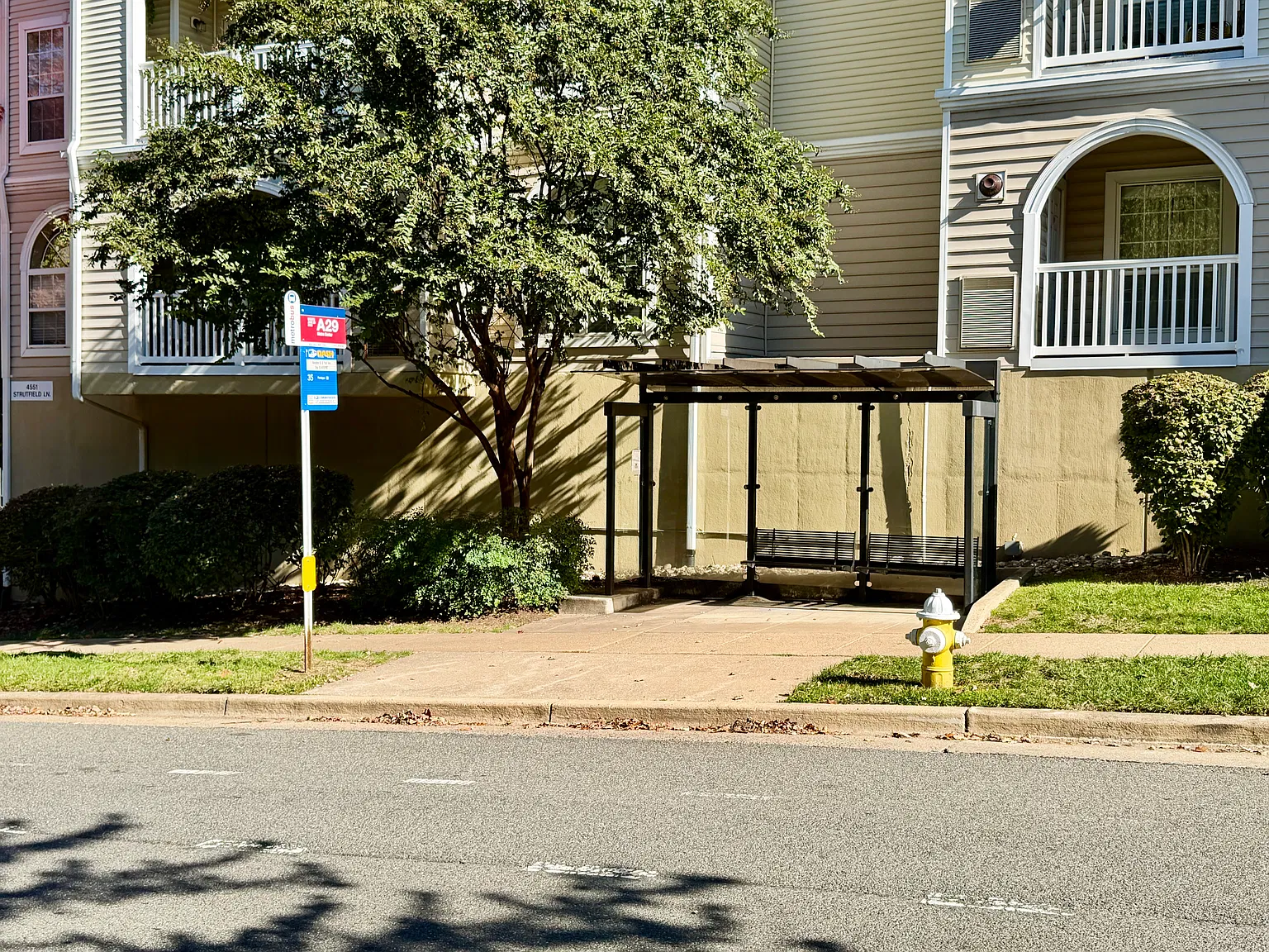 2 bed, 1160 sqft, $2,600 — Photo 4