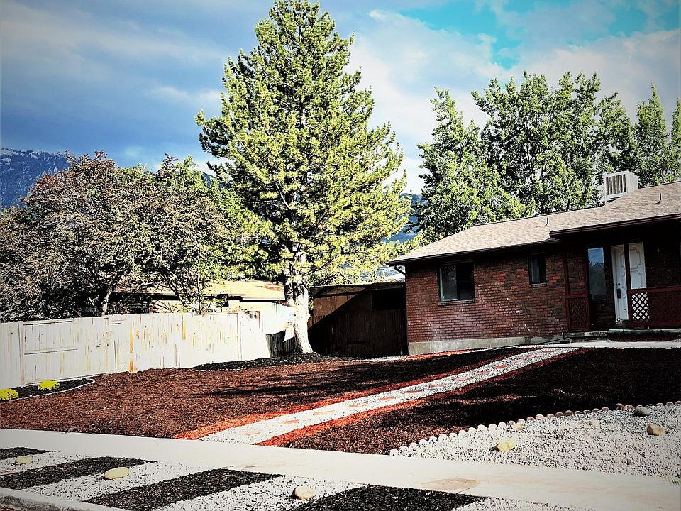 Pre-Winter Front Yard