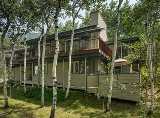 267 Roaring Fork Dr, Aspen, CO 81611