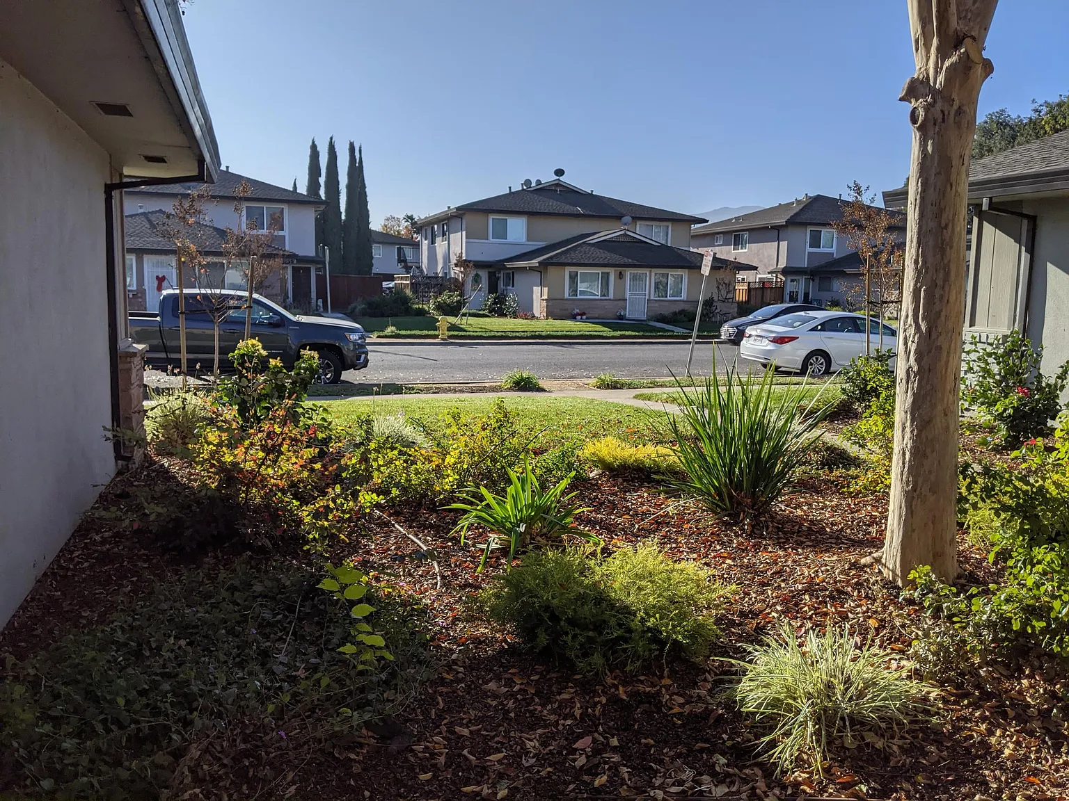 2 bed, 903 sqft, $2,800 — Photo 4