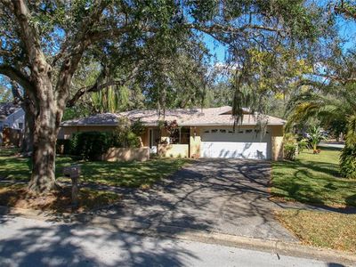 1433 Red Oak Dr, Tarpon Springs, FL, 34689
