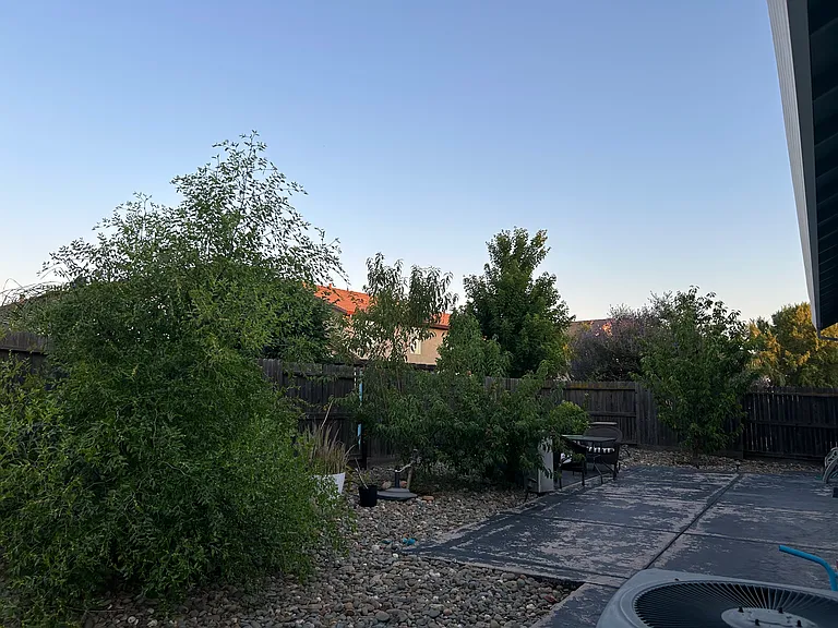 5305 Mossy Stone Way — Photo 21