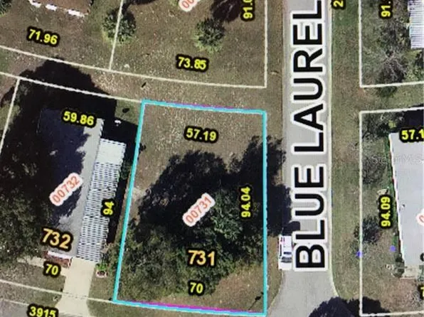 3907 Cohen Dr #731, Zellwood, FL 32798