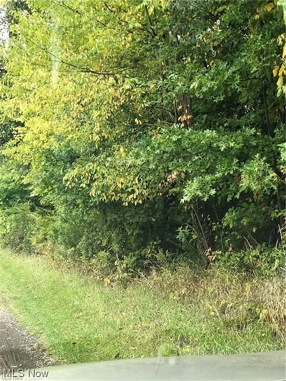 Burns Ln photo 1