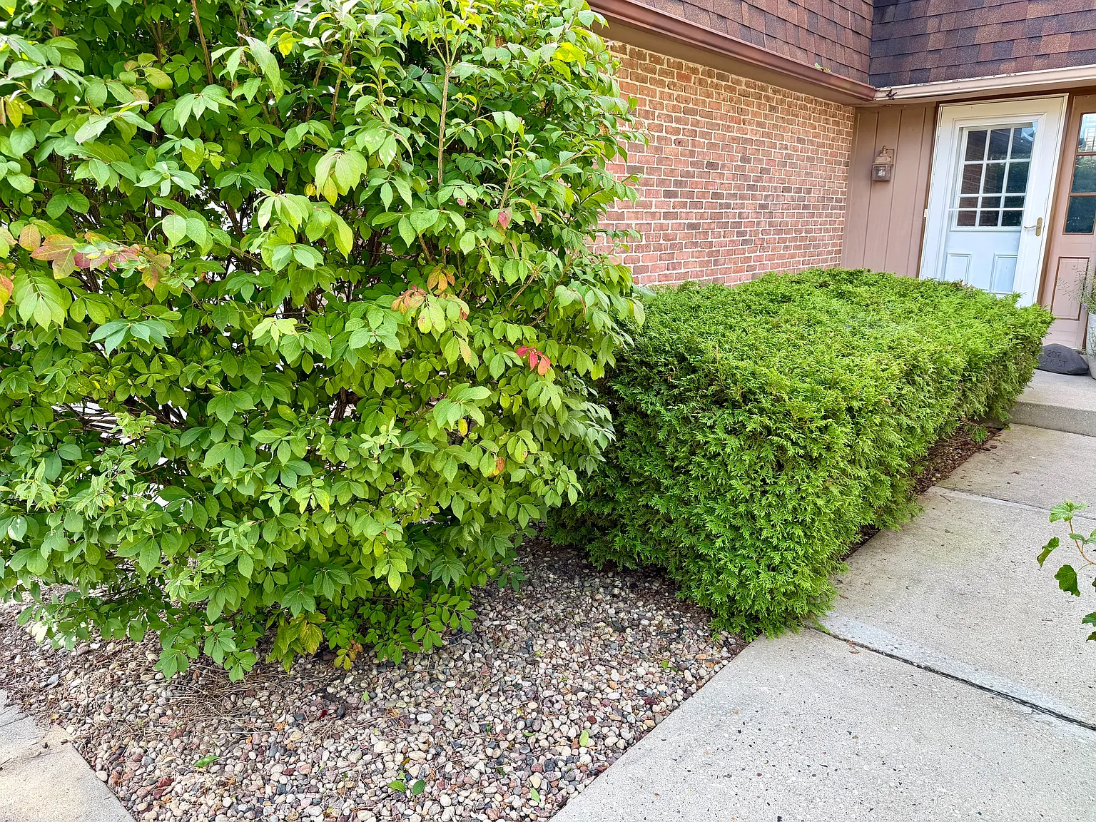 207 W Oak St — Photo 2