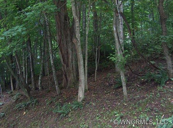 1st image of 203 Forest Dr