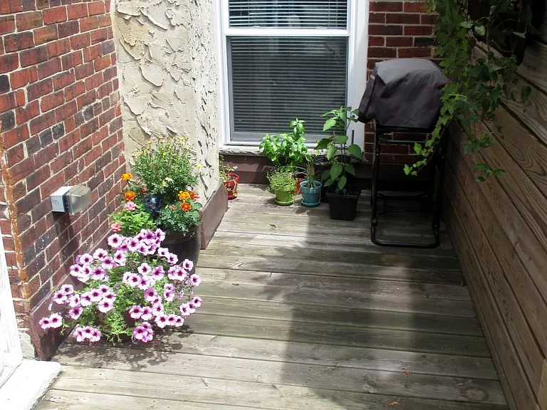 542 Christian St #2 — Photo 17