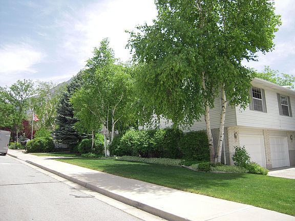 North side of house.
